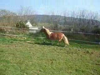 sidh travail tout seul 2