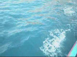 Movie_0001