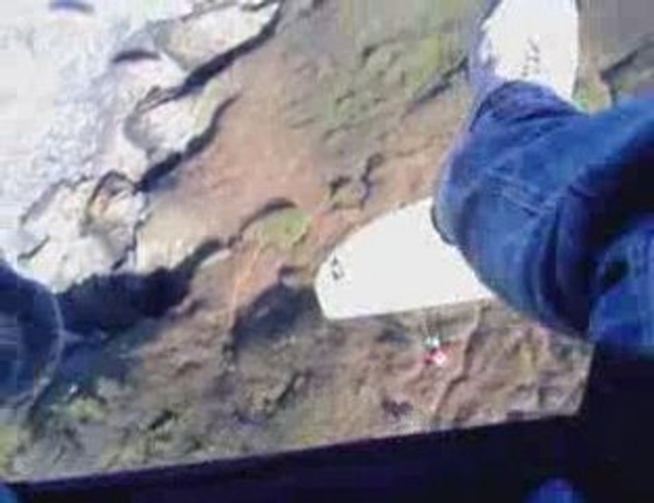 parapente roselier PAT & DID