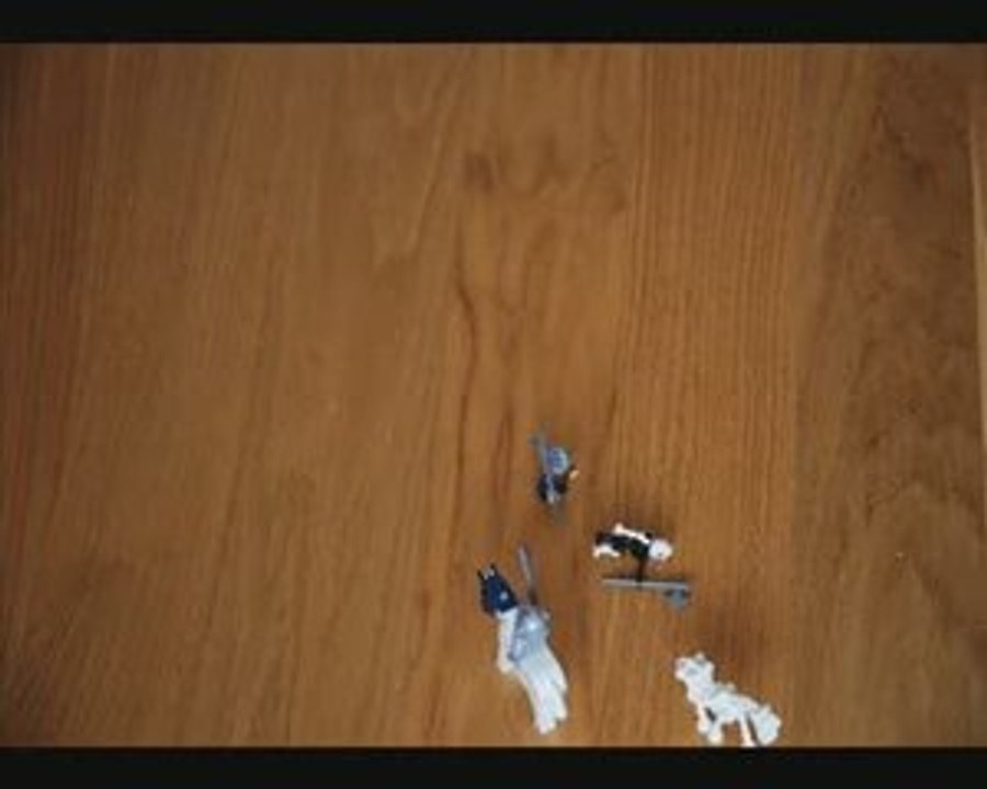 Deux cavaliers se battent (Auteur: Mialy)