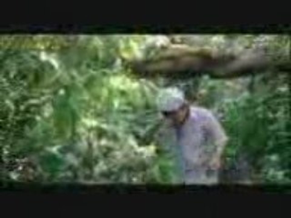 Pak pak pakak part4