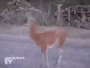 Backpacks That Wona??t Break Your Back or Your Bank