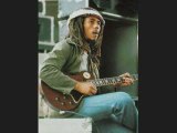 Bob marley-soul rebel