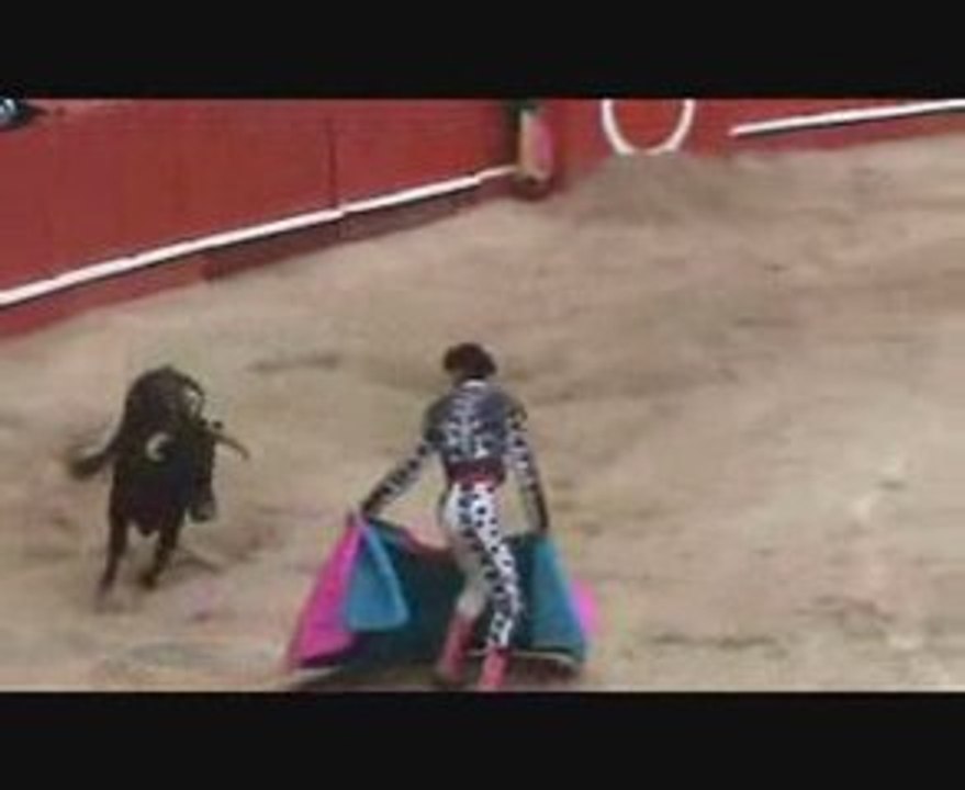 Novillada de feria de san jose 2009
