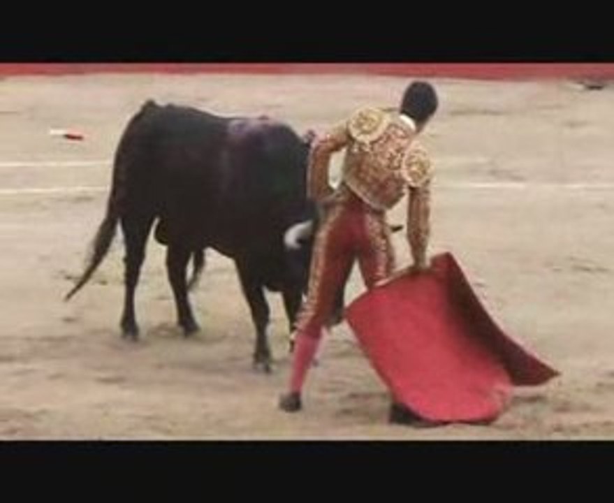 Corrida de feria de san jose 2009