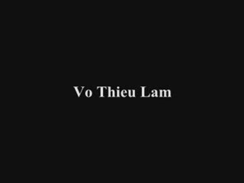 Démonstration à Bin Dinh - Quy Nhon  au Vietnam