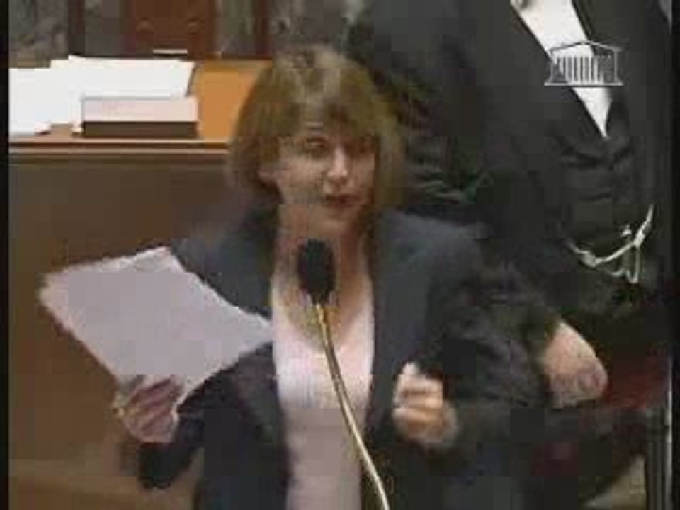 Albanel ministre de l'INculture : OpenOffice est un pare feu