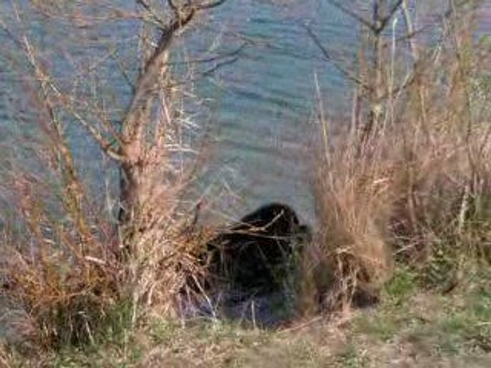 TU VIENS A L'EAU