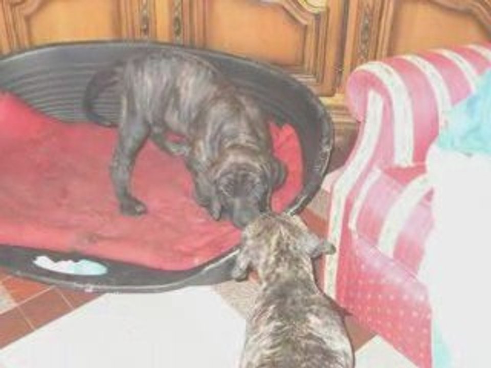 2009_les filas de Michèle