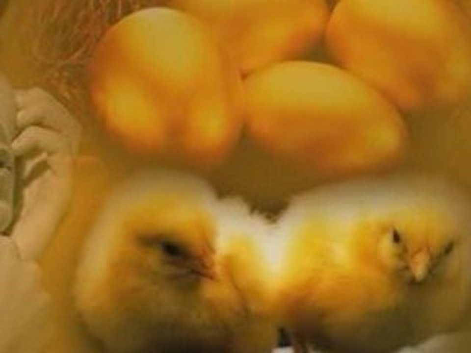 Happy Easter To all My Dm Friends