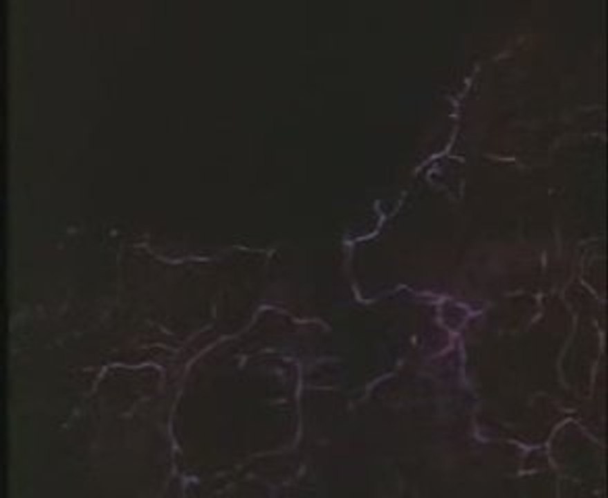Tell Tale Heart Animation