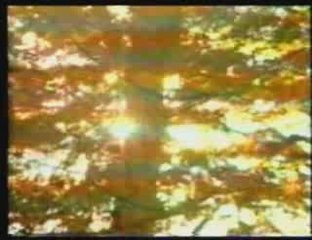 OSMAN DÜNDAR-yetimim(CANLI)