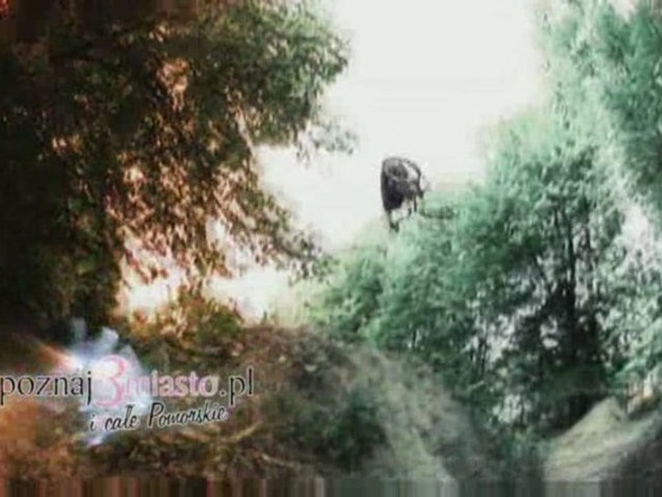 Trójmiasto - nowy spot promocyjny: Gdańsk, Gdynia, Sopot