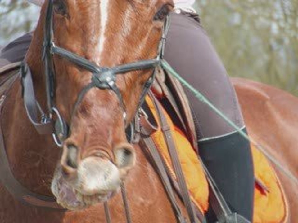Donjuan blog