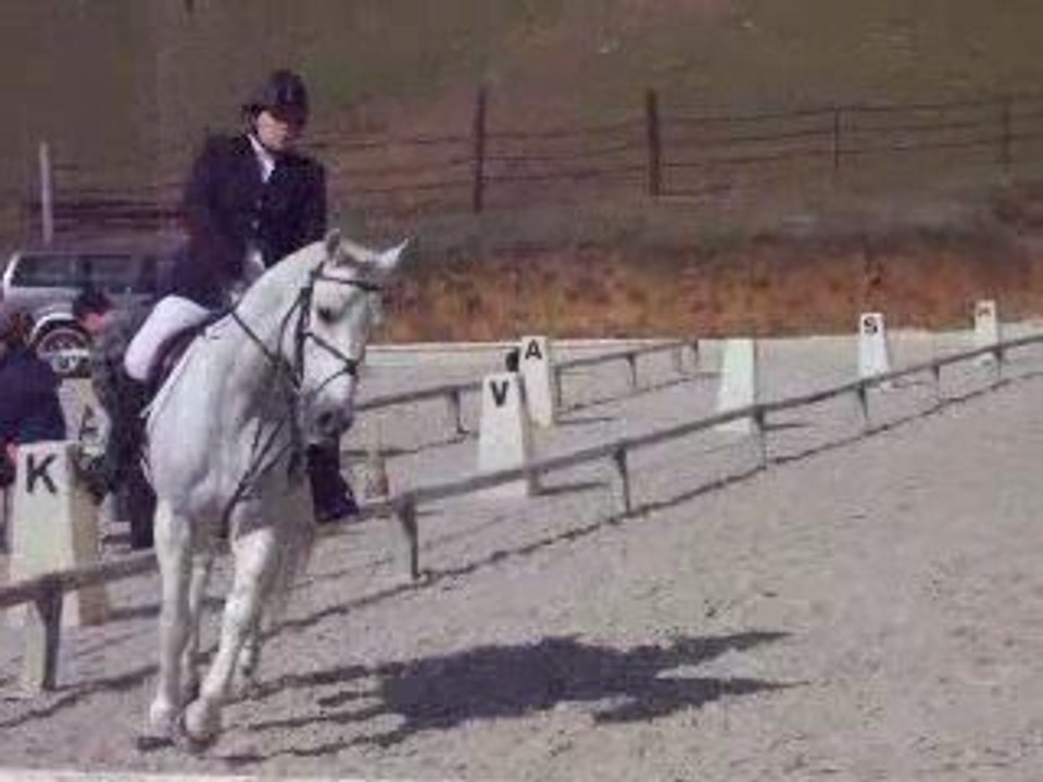 Concours du 29 mars a Vigny