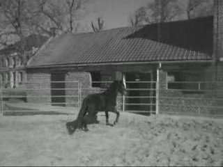 Biscotte dans le Rond de Longe