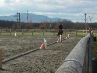 Nadine et Perle Entrainement dressage