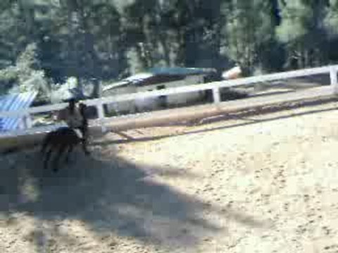 Saut nindja barre tombées