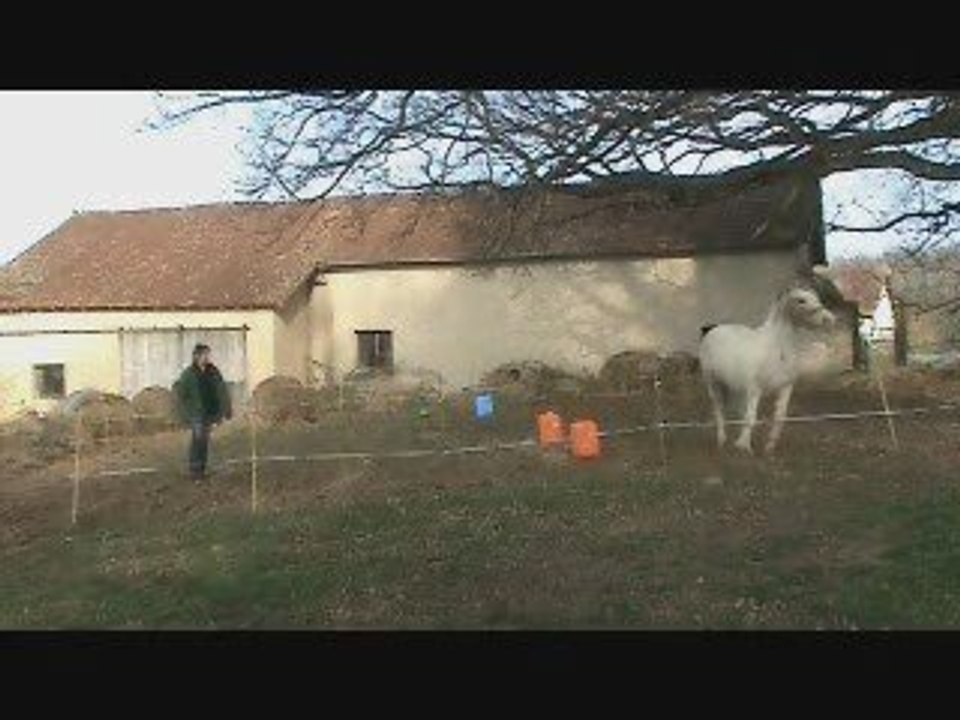2é séance gérm