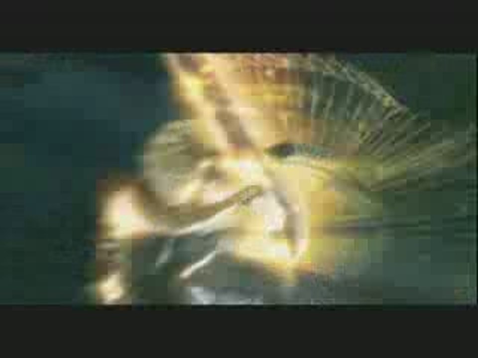 My AMV