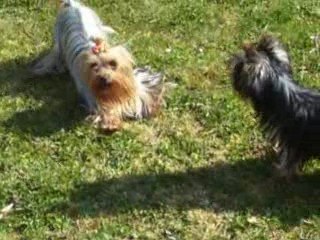 2009-04-01 chez Déclic 010