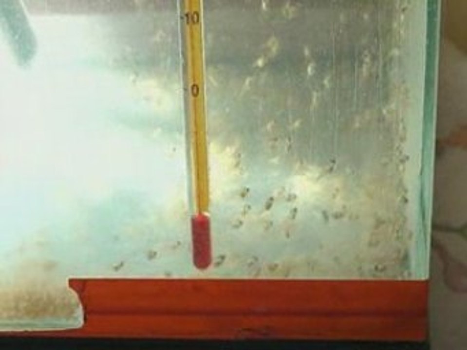 Reproduction scalaires