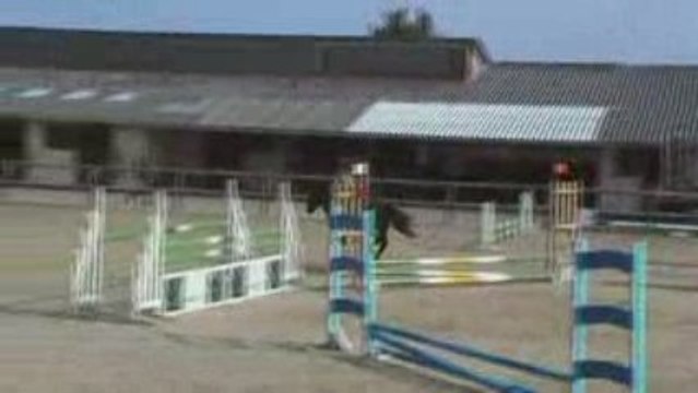 Sara et Quidam club poney 3 à Sées