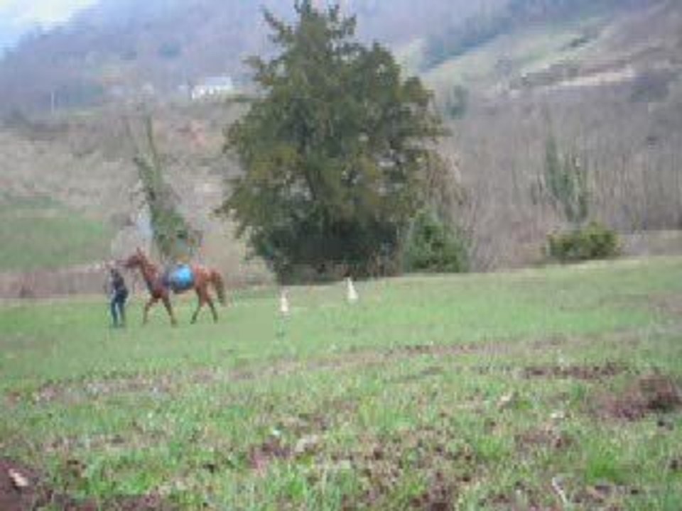 Hooker, mon coeur...