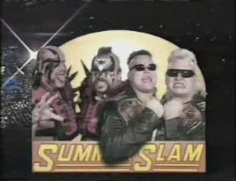 Wwf Summerslam 91