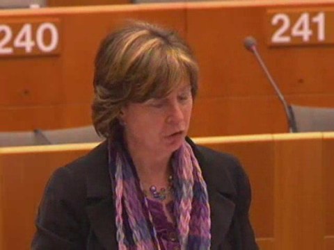 Diana Wallis on the Arctic