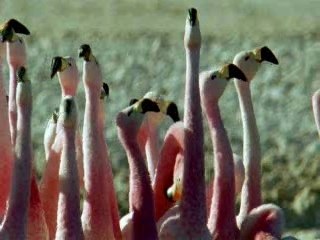 Our Home Planet Earth