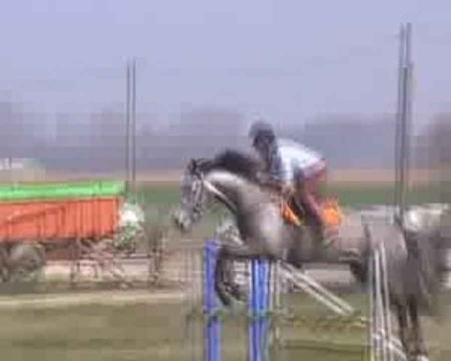 Qualisto 02.04.09_0001