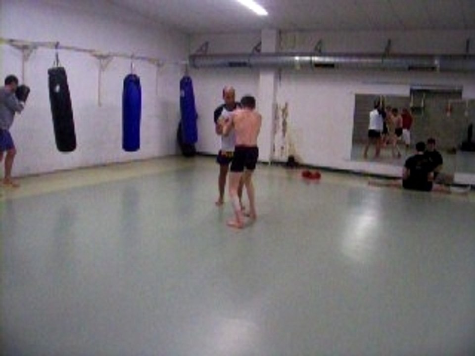 Photo 010