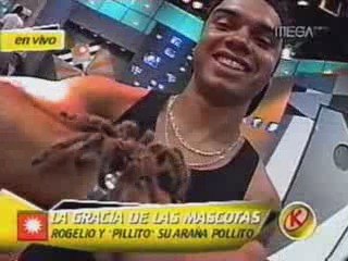 Mekano Rogelio y su mascota pillito Cap 107