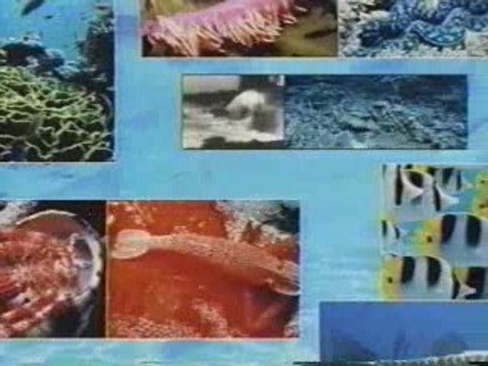 Microsoft Encarta 1997