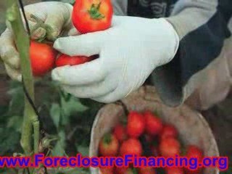 Foreclosures reach another high in May