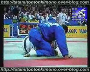 JUJI GATAME par DEMONTFAUCON