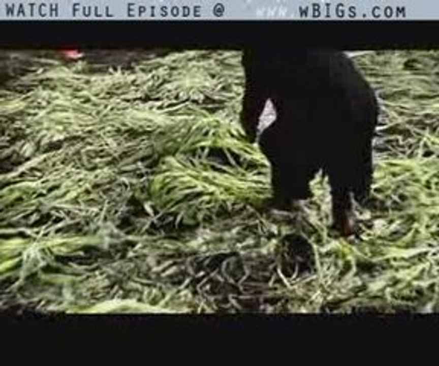 Smallville 8x18 Eternal