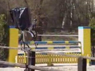 Quat'saisons verquigneul 5ansA 1