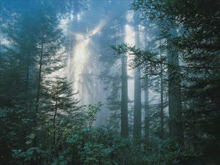 Pensées méditatives