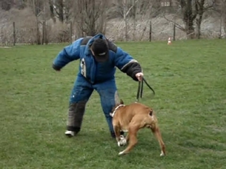 CCF Club Canin Forezien.Tuckson des Vents de Mer.