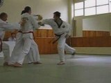 taekwondo combat mains nues