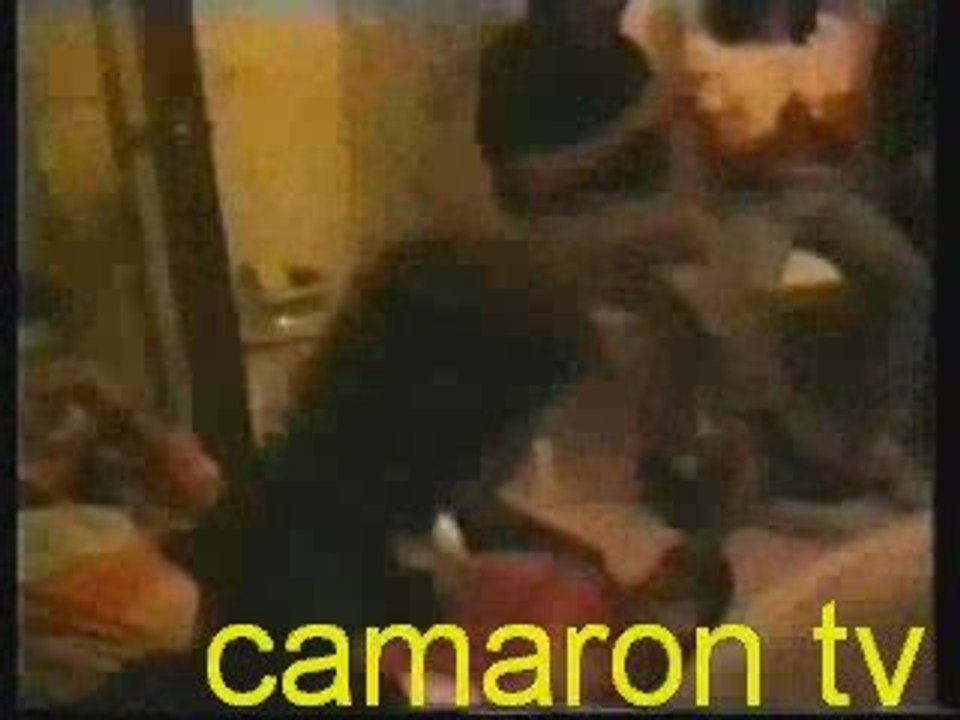 Camaron fiesta en sevilla   inedito
