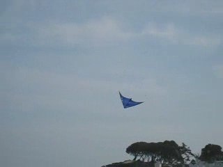 Figures en cerf volant