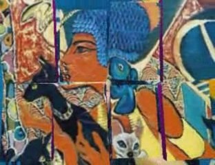 ЖЕНЩИНЫ КОШКИ ФАТТАХ ГАЛЛА