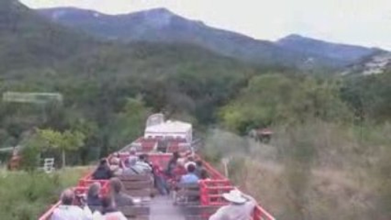 train touristiques