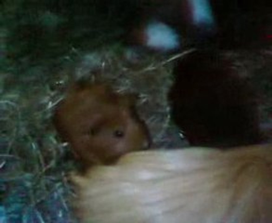 derniére vidéo des bébés