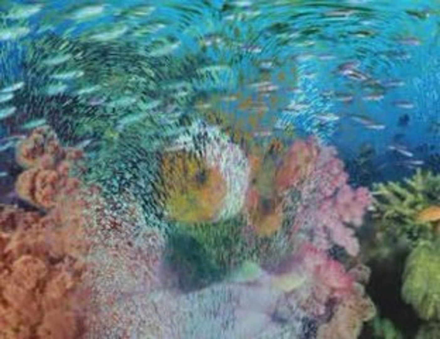 ТАЙНЫ ПОДВОДНОГО МИРА