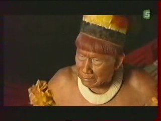 Deforestation de l'Amazonie Culture du Soja 2/3