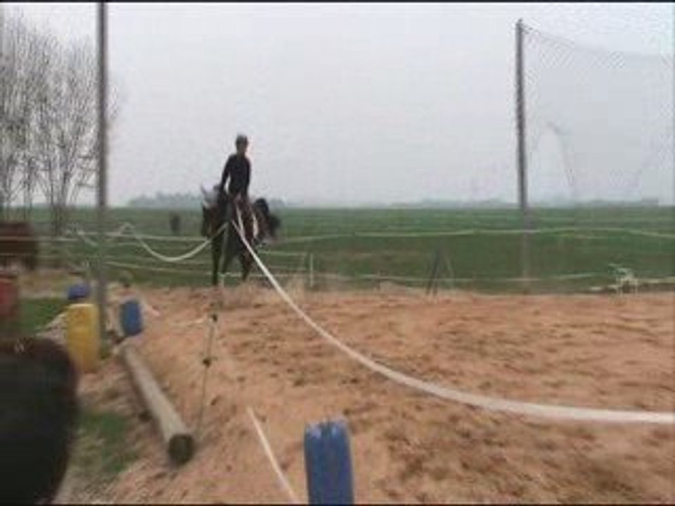 Dressage reprise preliminaire